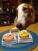 ハニーお誕生日♪のぼる