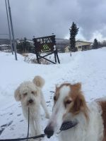 冬のはじまり！